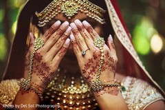 Closeup capture of maharani showing her jewelry. Closeup capture of maharani showing her jewelry.