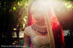 Glowing indian bride capture. Glowing indian bride capture.