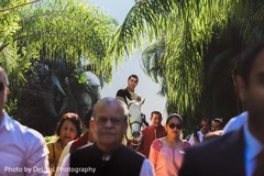 Indian groom with white baraat horse, Indian groom with white baraat horse,