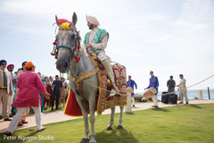 Elegant Indian groom riding baraat white horse. Elegant Indian groom riding baraat white horse.