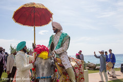 Indian groom with white baraat horse. Indian groom with white baraat horse.