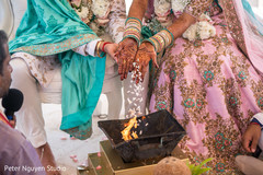 Indian couple making offerings to sacred fire Indian couple making offerings to sacred fire