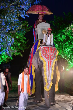 Stunning entrance of rajah on his baraat elephant. Stunning entrance of rajah on his baraat elephant.