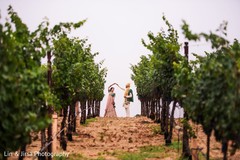 Vineyard Indian wedding portrait. Vineyard Indian wedding portrait.