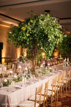 Dreamy India wedding reception natural theme. Dreamy India wedding reception natural theme.
