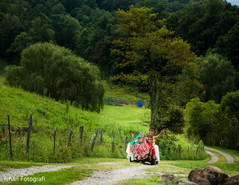 Incredible Indian couple outdoors capture. Incredible Indian couple outdoors capture.