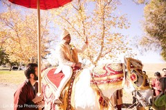 Elegant Indian groom riding baraat white horse. Elegant Indian groom riding baraat white horse.