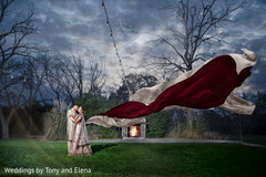 Incredible photo of the lovebirds Incredible photo of the lovebirds