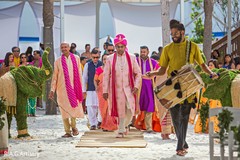 Indian groom making his grand entrance Indian groom making his grand entrance