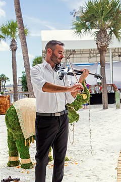 Violin player during the ceremony Violin player during the ceremony