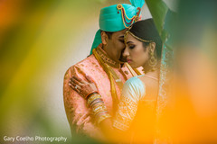 Indian lovebirds magical capture. Indian lovebirds magical capture.