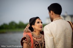 Indian lovebirds outdoors capture. Indian lovebirds outdoors capture.