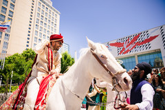 Enchanting Indian groom on his white baraat horse. Enchanting Indian groom on his white baraat horse.