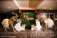 Incredible Indian wedding elephants entrance decor. Incredible Indian wedding elephants entrance decor.