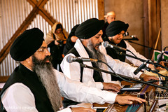 Sikh wedding ceremony live music. Sikh wedding ceremony live music.