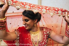 Splendid Indian bride dupatta. Splendid Indian bride dupatta.