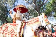Elegant Indian groom during the Baraat celebration. Elegant Indian groom during the Baraat celebration.