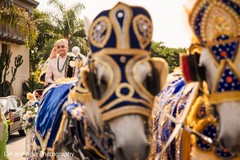 Enchanting Indian groom on his baraat carriage. Enchanting Indian groom on his baraat carriage.