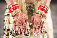 Fascinating indian bridal mehndi. Fascinating indian bridal mehndi.