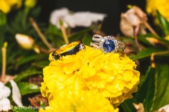 Stunning Indian wedding rings capture. Stunning Indian wedding rings capture.