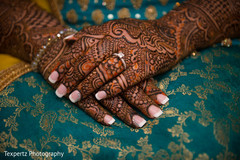 Mehndi details of the Maharani Mehndi details of the Maharani