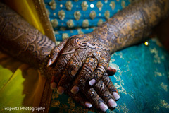 Mehndi details of the Maharani Mehndi details of the Maharani
