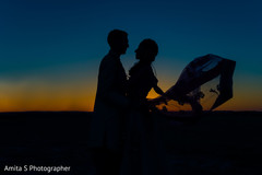 Incredible Indian love birds silhouette capture. Incredible Indian love birds silhouette capture.