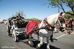 photo #240440 photo #240440