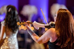 Indian wedding live music. Indian wedding live music.