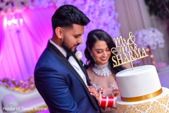 Marvelous indian wedding cake topper Marvelous indian wedding cake topper