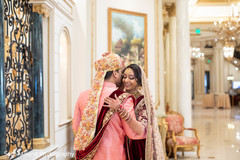 Adorable Indian lovebirds first look. Adorable Indian lovebirds first look.