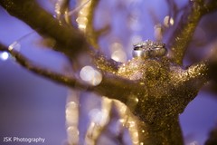 Take a look at this creative photo shot. Take a look at this creative photo shot.