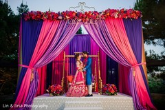 Adorable Indian lovebirds capture. Adorable Indian lovebirds capture.