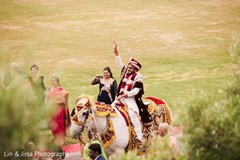 Indian groom with white baraat horse Indian groom with white baraat horse