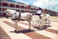 Lovely capture of bride at their wedding carriage Lovely capture of bride at their wedding carriage
