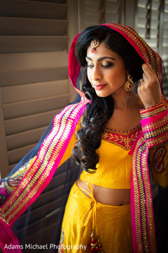 Magnificent colorful maharani. Magnificent colorful maharani.