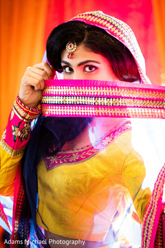 Mysterious Maharani. Mysterious Maharani.