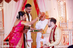 Indian groom being anointed by Indian bride's parents. Indian groom being anointed by Indian bride's parents.