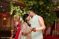 Marvelous Indian lovebirds capture. Marvelous Indian lovebirds capture.