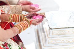 Closeup capture of India bridal holding rose petals. Closeup capture of India bridal holding rose petals.