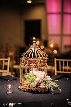 Amazing and creative bird cage decoration. Amazing and creative bird cage decoration.