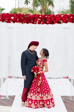 Sensational Indian lovebirds capture. Sensational Indian lovebirds capture.