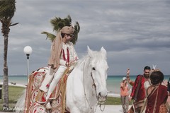 Indian groom riding baraat white horse Indian groom riding baraat white horse