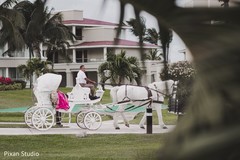 Dreamy Indian wedding ceremony carriage. Dreamy Indian wedding ceremony carriage.