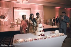 Our lovely couple cutting the delicious wedding cake. Our lovely couple cutting the delicious wedding cake.
