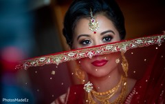 Incredible maharani's ghoonghat veil. Incredible maharani's ghoonghat veil.