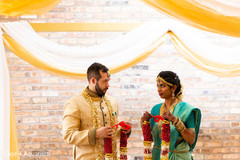 Indian wedding ceremony garland exchange ritula . Indian wedding ceremony garland exchange ritula .