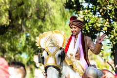 Majestic Indian groom arriving on his horse. Majestic Indian groom arriving on his horse.