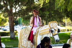Majestic Indian groom in his horse. Majestic Indian groom in his horse.