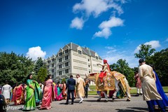 Elegant Indian groom riding baraat white horse Elegant Indian groom riding baraat white horse